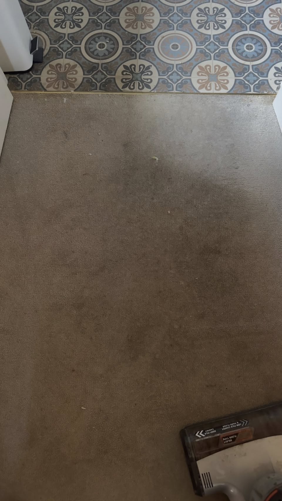 Before carpet cleaning showing a heavily soiled carpet