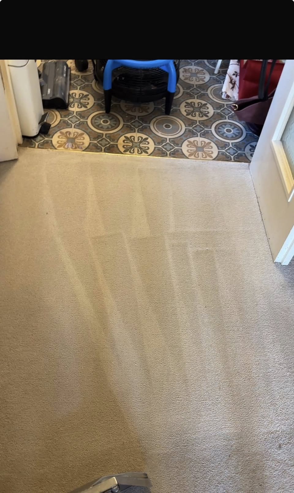 After carpet cleaning showing a brighter cleaned carpet