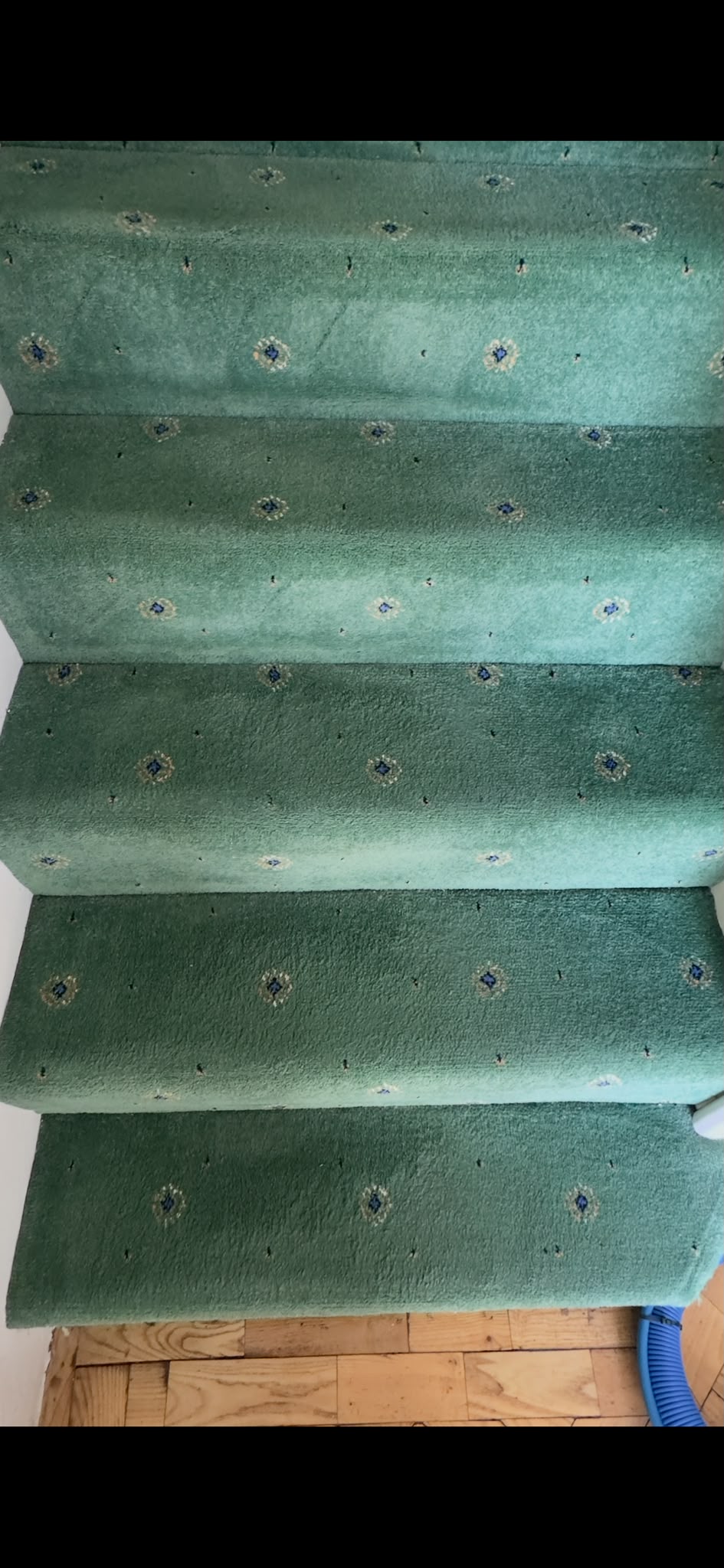 The green stair carpet after professional cleaning