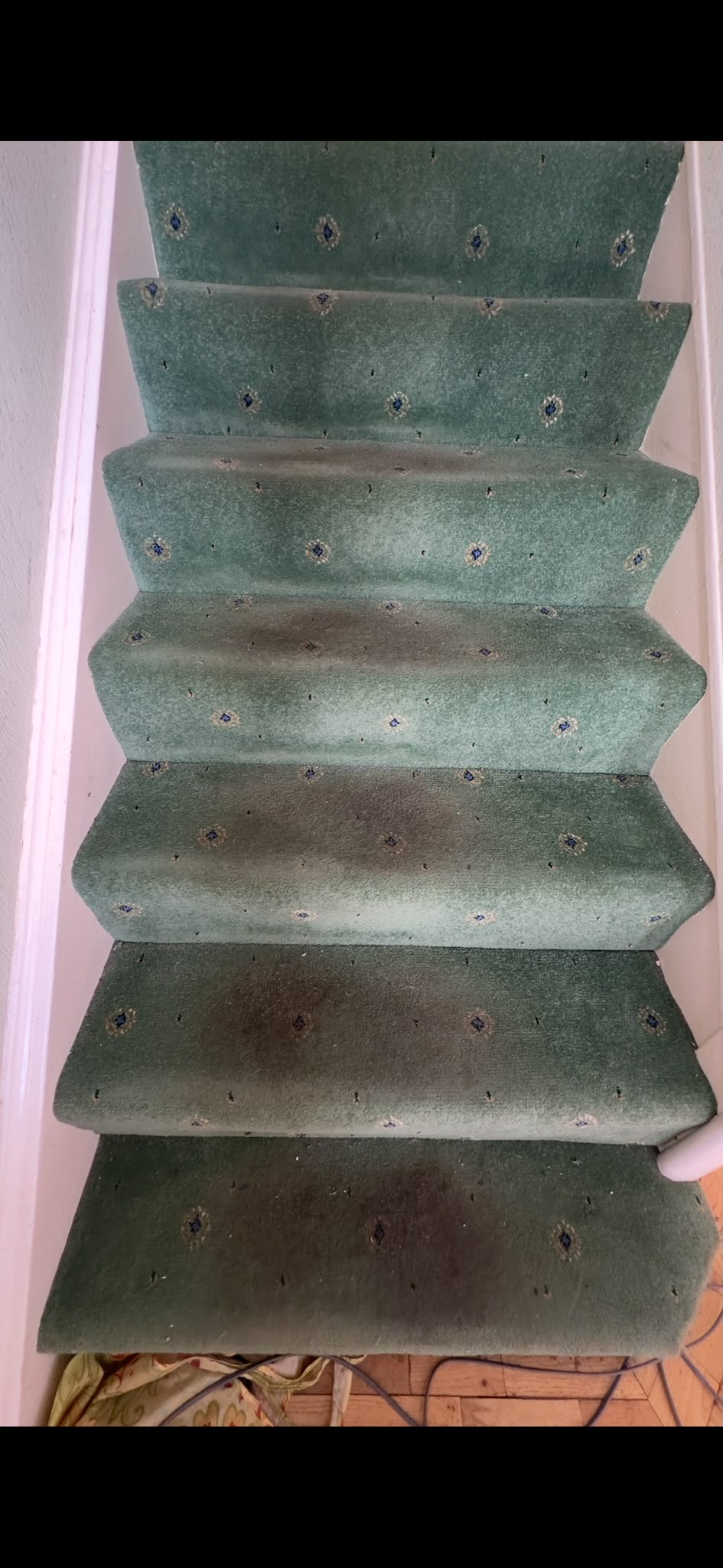 Marked green stair carpet before professional cleaning