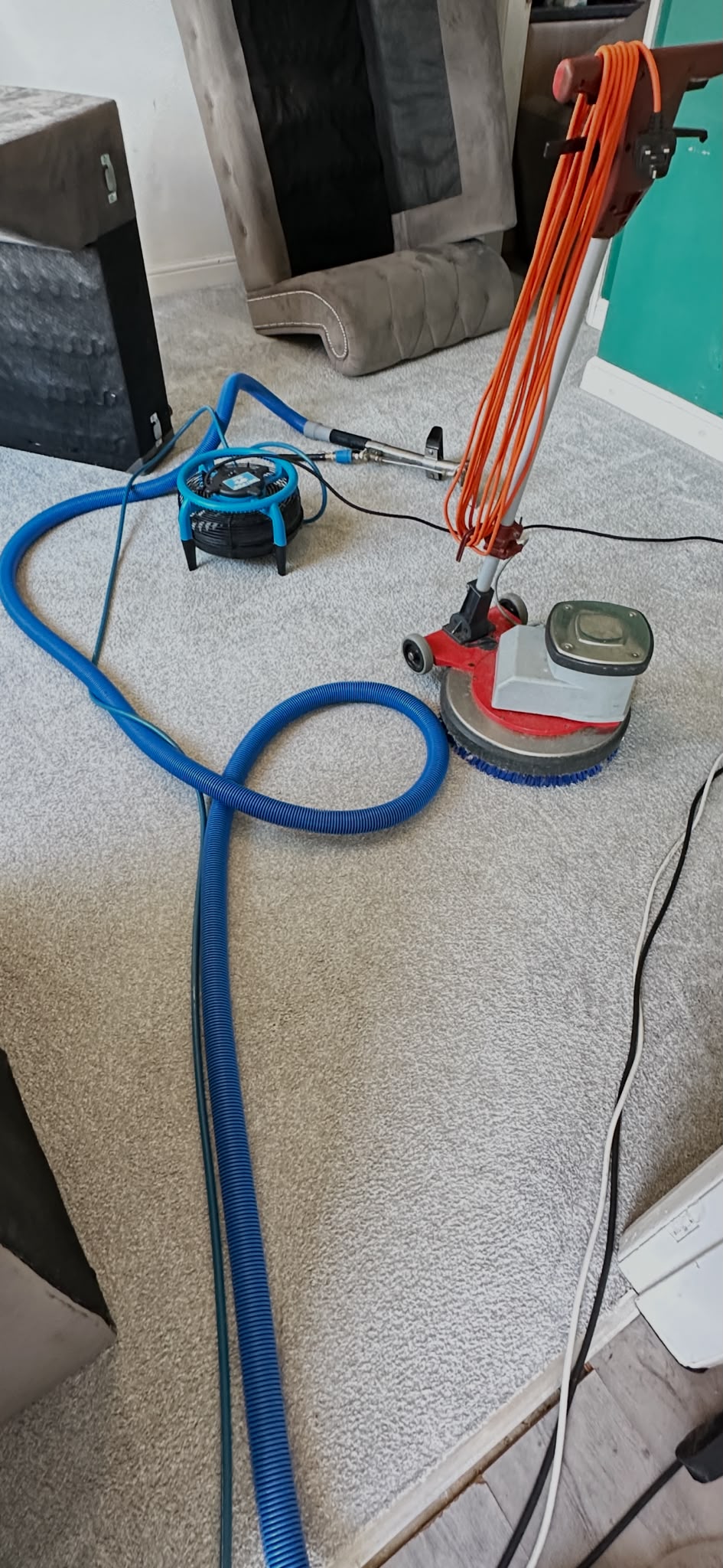 The grey lounge carpet after professional cleaning