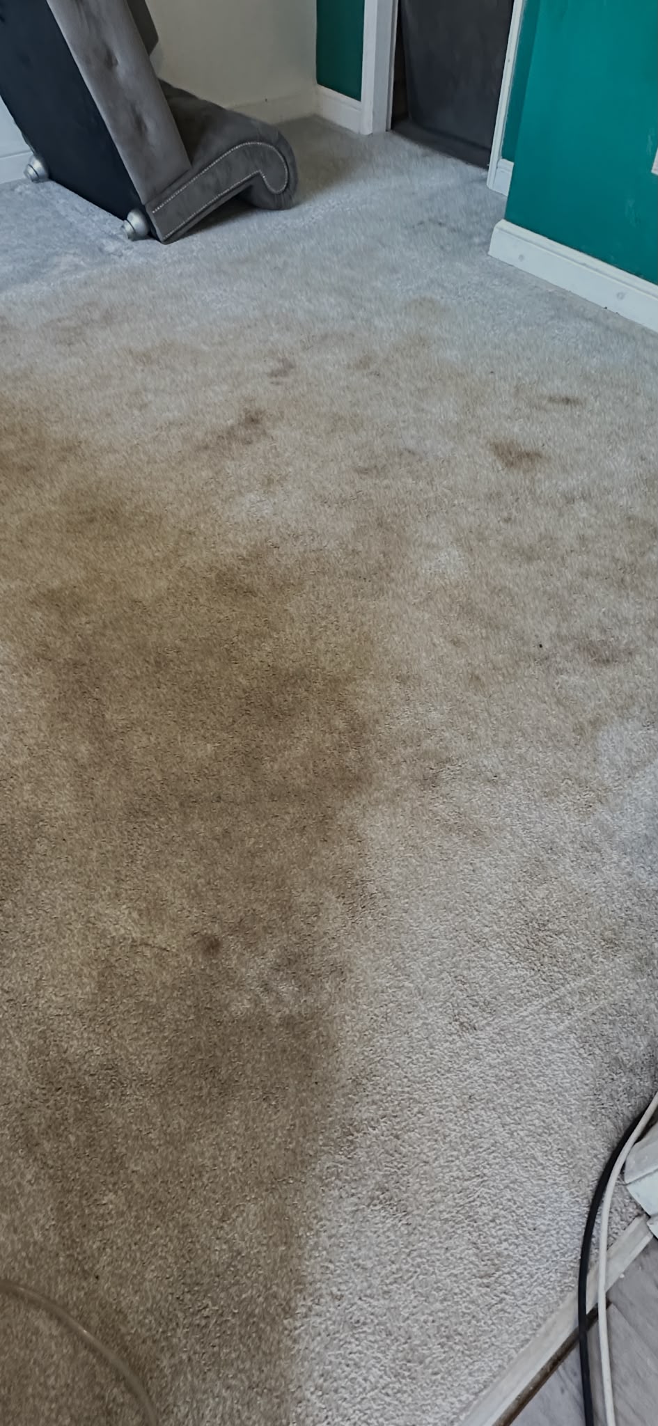 Marked grey lounge carpet before professional cleaning