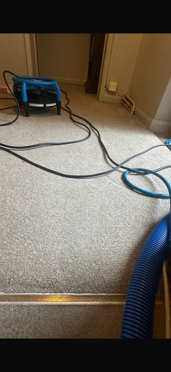 The same hallway carpet after professional cleaning