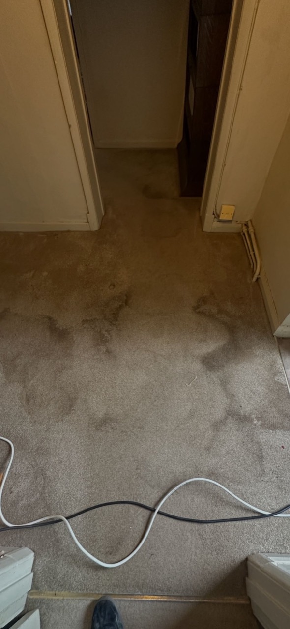 Heavily soiled hallway carpet before professional cleaning